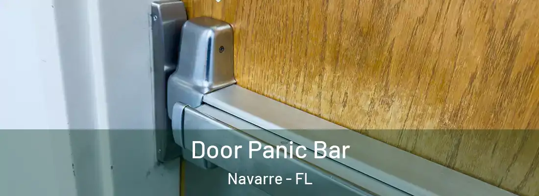 Door Panic Bar Navarre - FL