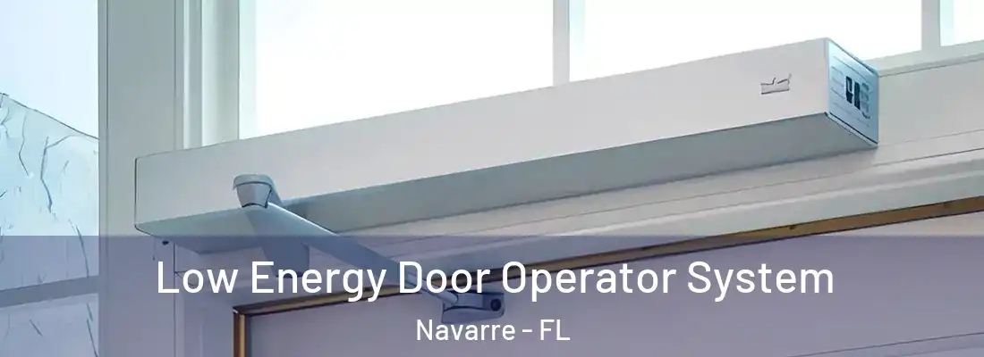 Low Energy Door Operator System Navarre - FL